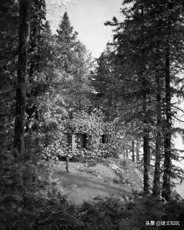 waf2023世锦赛,waf国内排名