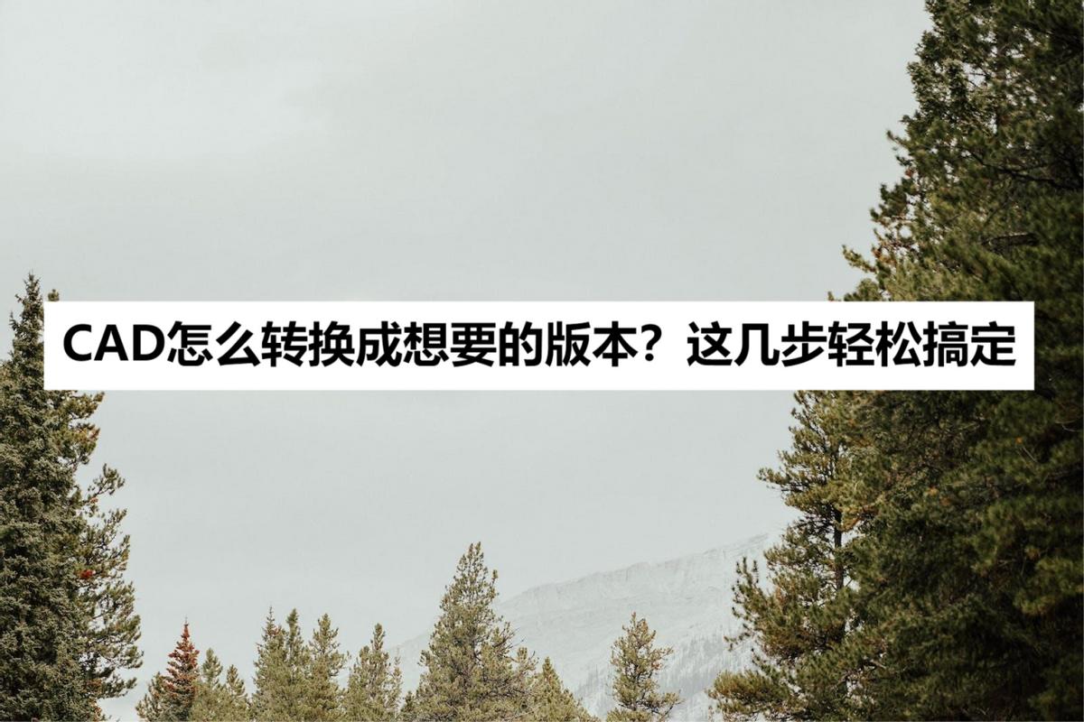 cad哪个版本可以曲线转换成多段线,怎么将高版本cad转换成低版本