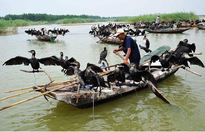 江苏的冷门景点排名,江苏比较冷门但是好玩的地方