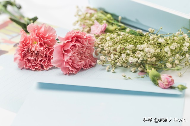 已为人母又到母亲节,初为人母的第一个情人节