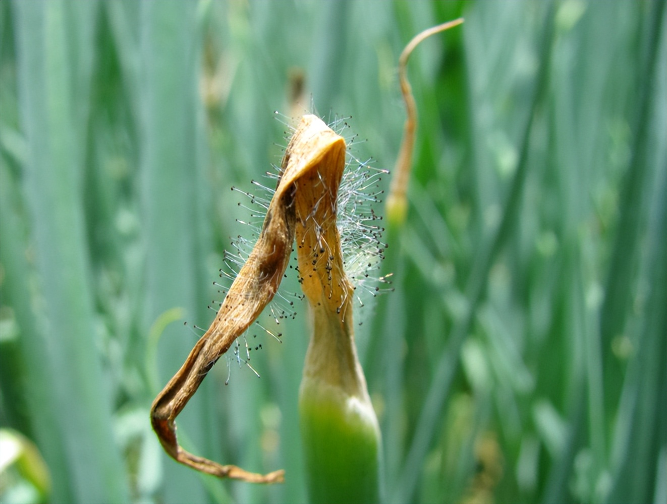 农药购买,农药网购哪里最安全