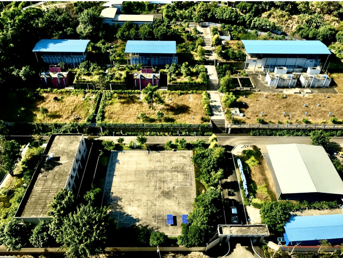 鏁f枃鑸媿,鏁f枃绔欏湪灞遍《閬ユ湜骞冲師