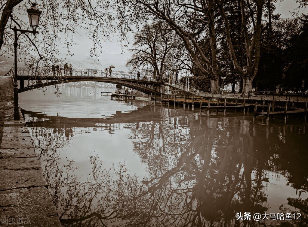 青春的迷茫小说,青春的迷茫与彷徨