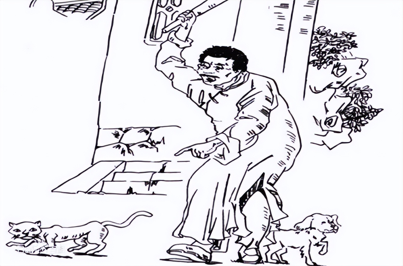 狗猫鼠鲁迅,狗猫鼠鲁迅先生为什么仇猫