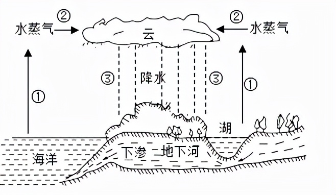 罗湖区八上物理期中,深圳市罗湖区八年级物理期末卷