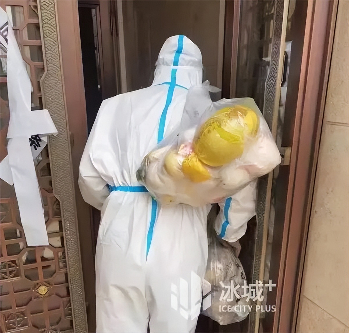 您下单的蔬菜、水果、药都来了|双城“无接触”保供应保民生服务“静下来”