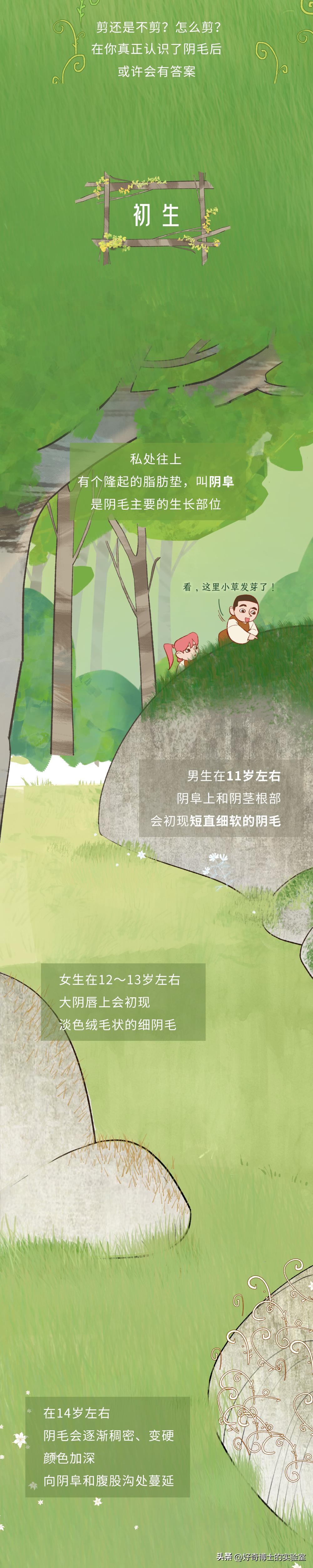 为什么头发浓密眉毛却很稀少,为什么头发是直的体毛是卷的