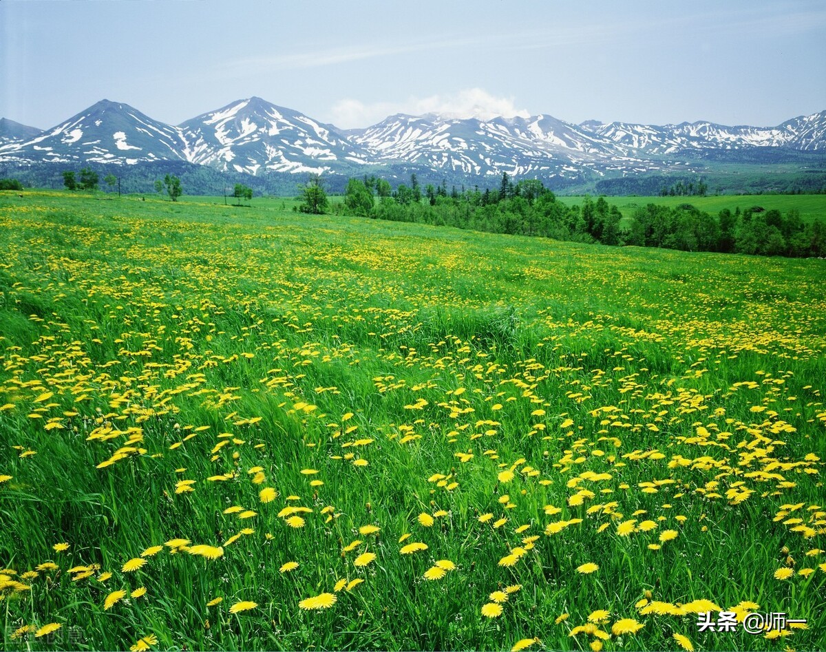 裸猿《道德篇》——自然•人类•科学(作者:詹克明)