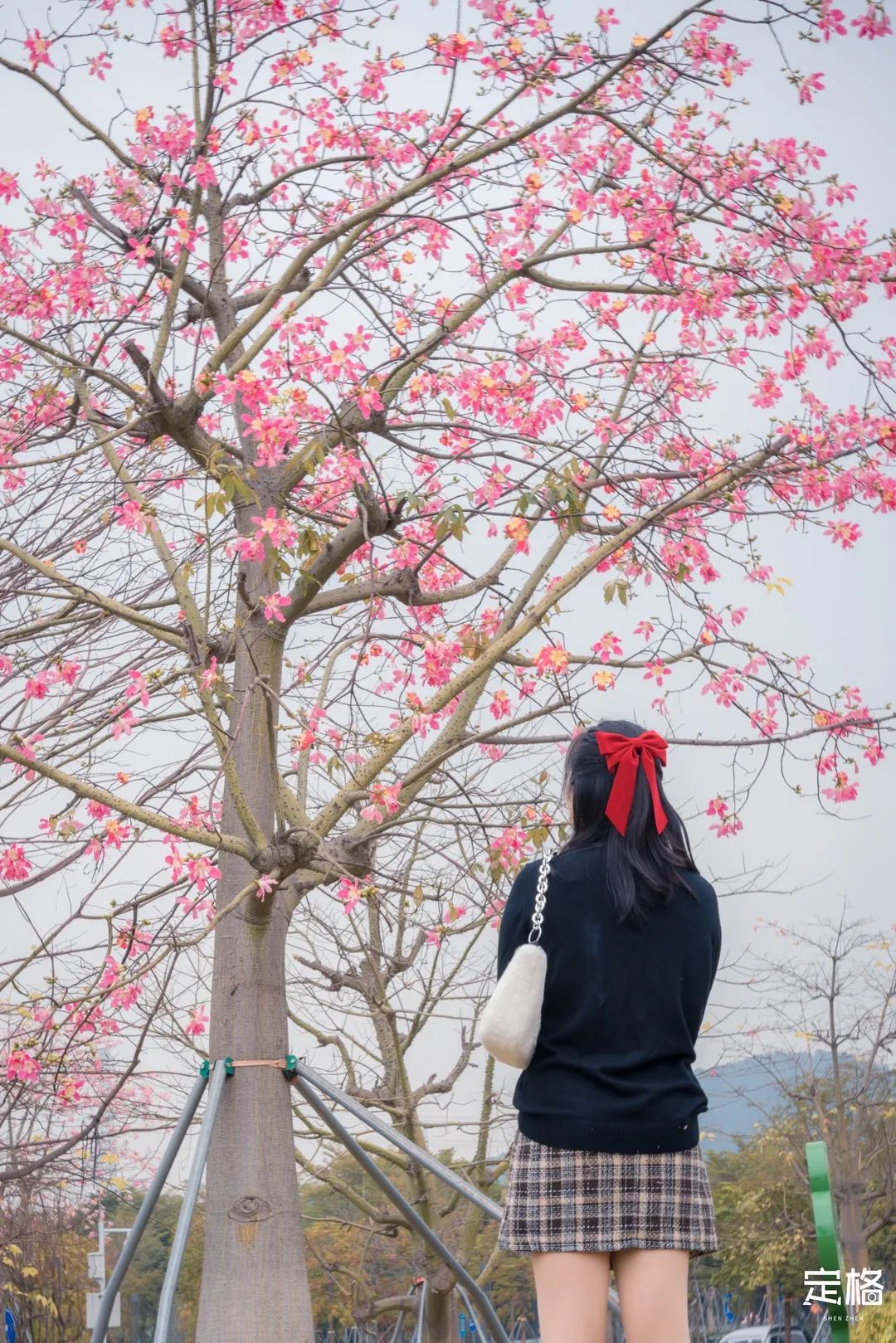 凤凰山绿道开放时间,凤凰山绿道全长多少公里