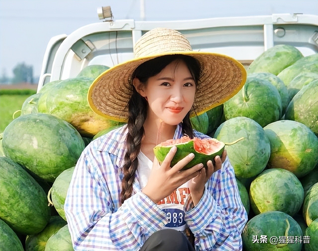 网红麦小登为啥排第二,麦小登网红排行榜