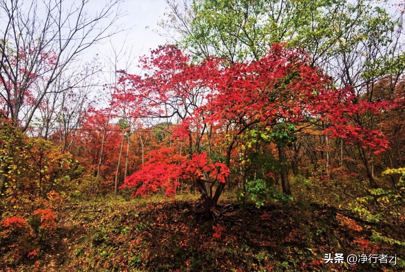 图们江口岸游记,从图们市到牡丹江自驾游