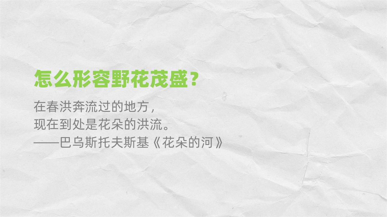 25个拯救“文字失语”的豆瓣帖子，表达超丝滑
