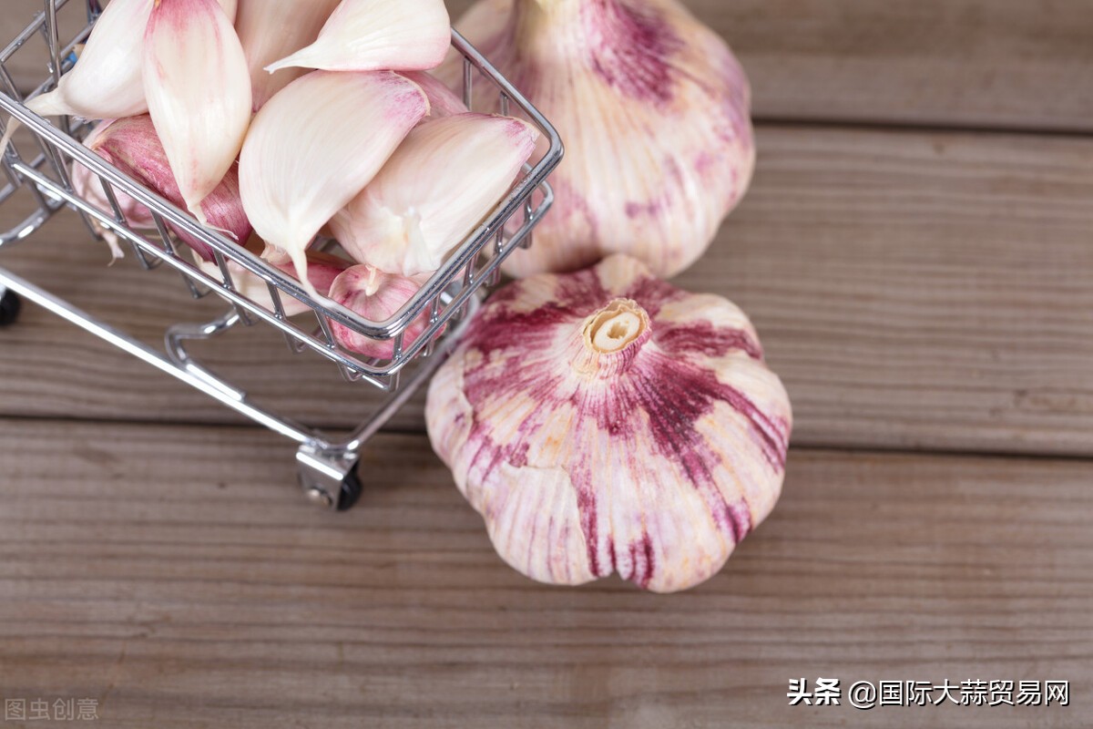 杞县早熟蒜最新价格,今天中牟杞县鲜蒜价格