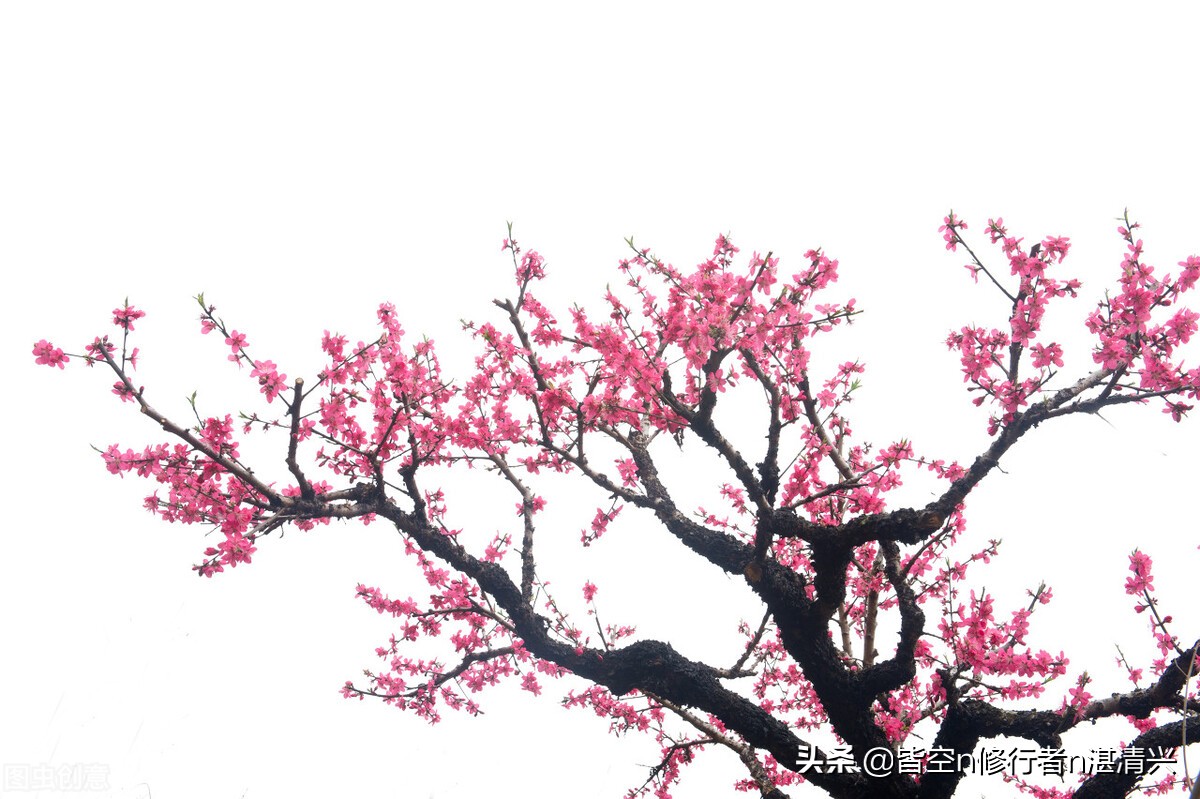 一个人命里的祸福,一个人的祸福是有定数