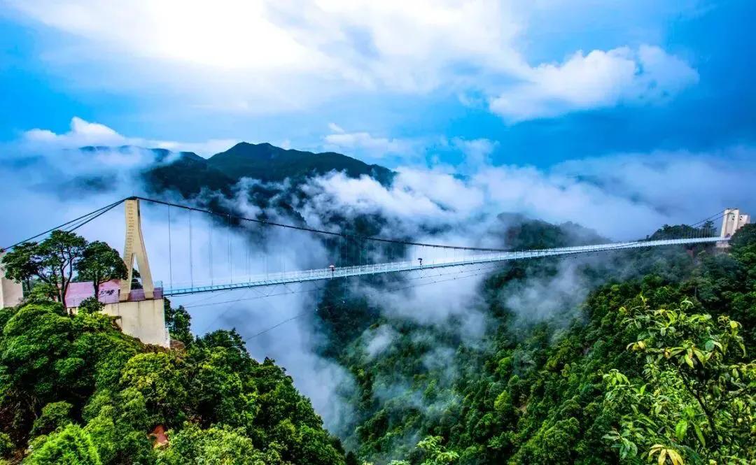 东江之源三百山讲解,东江探源到三百山