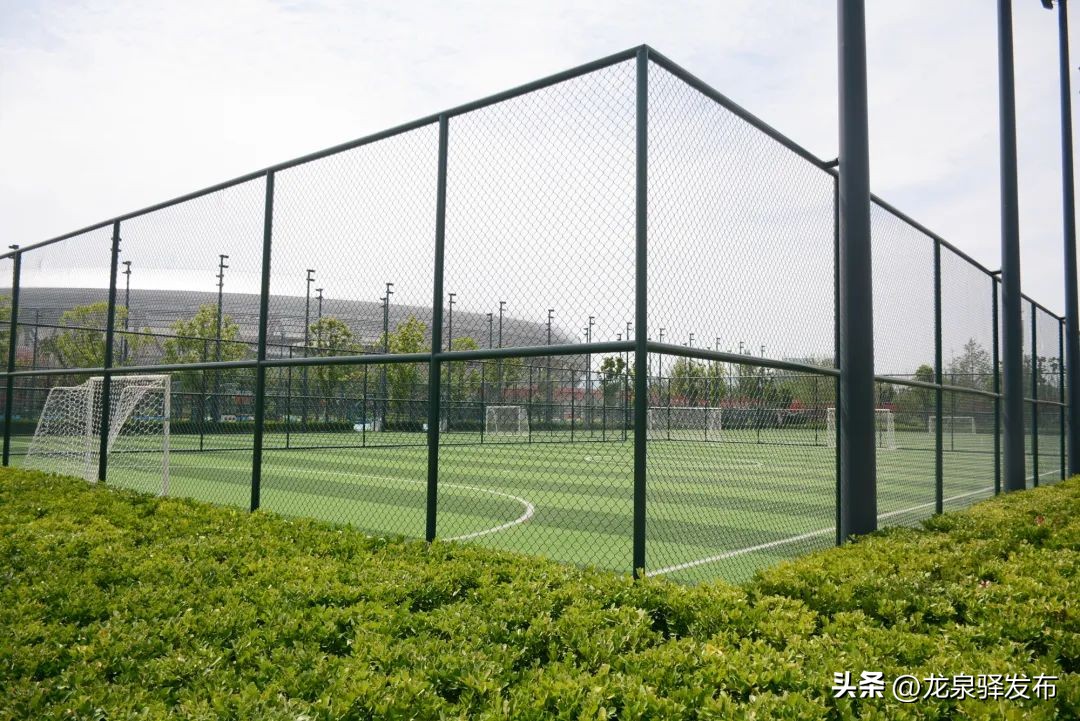 东安湖体育公园游泳跳水馆外形图,东安湖体育公园跳水游泳馆