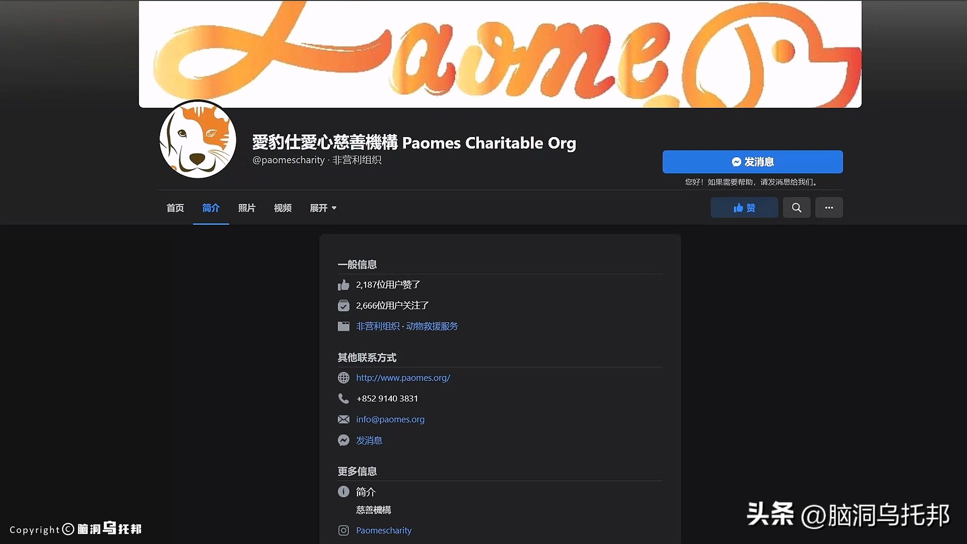 名媛案件过程,名媛碎尸案来龙去脉
