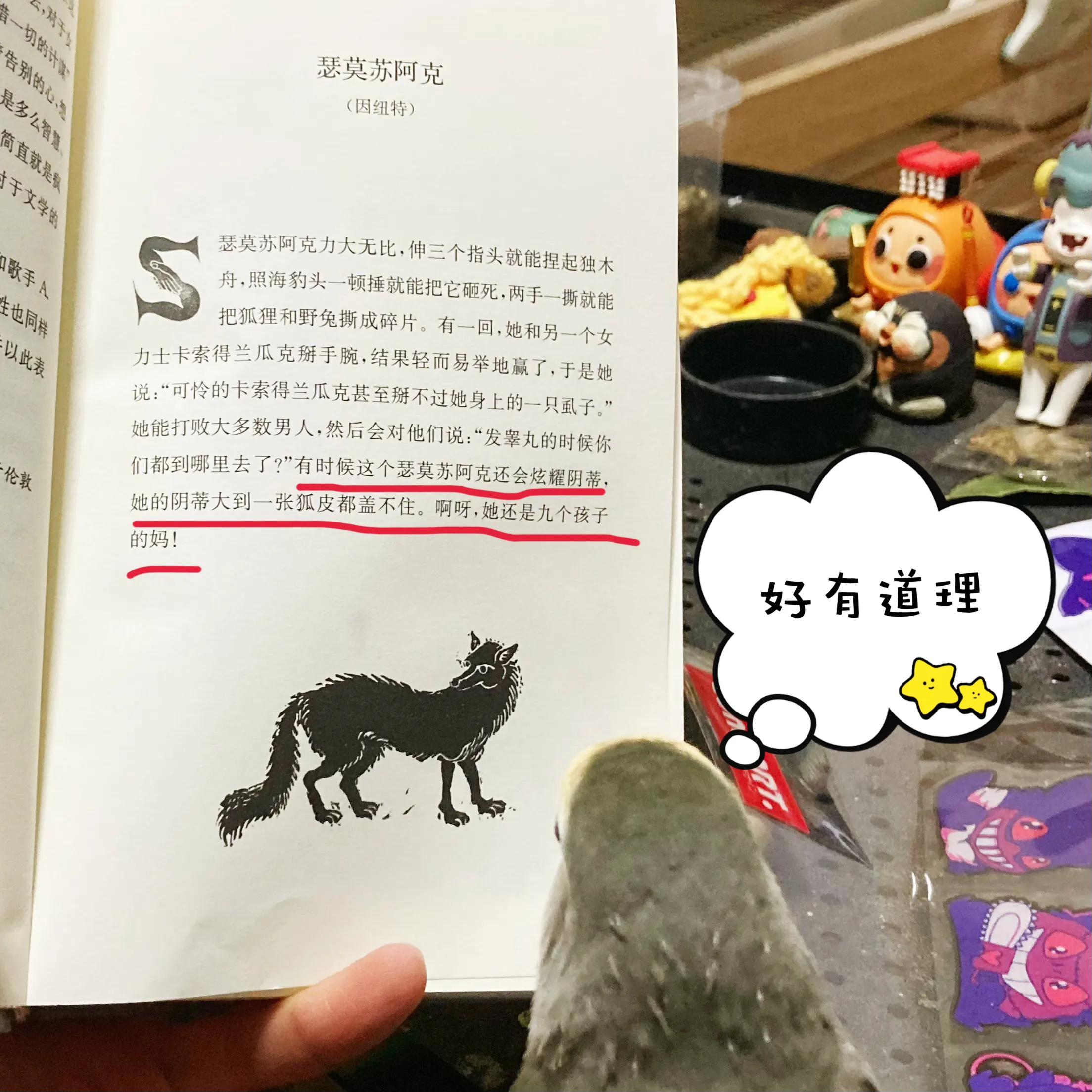 是的我们有个孩子英语,是的我们有的英语怎么说