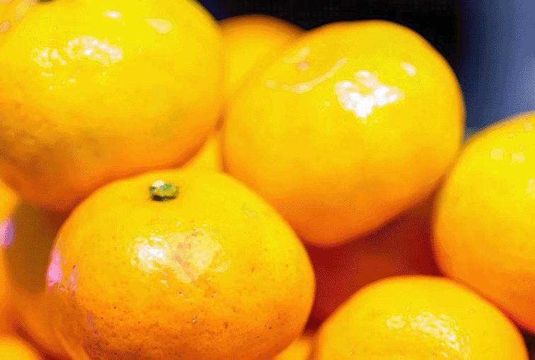 楂樼骇娴烽矞鑷姪椴嶉奔鎺㈠簵,娴烽矞鑷姪椴嶉奔鎺㈠簵