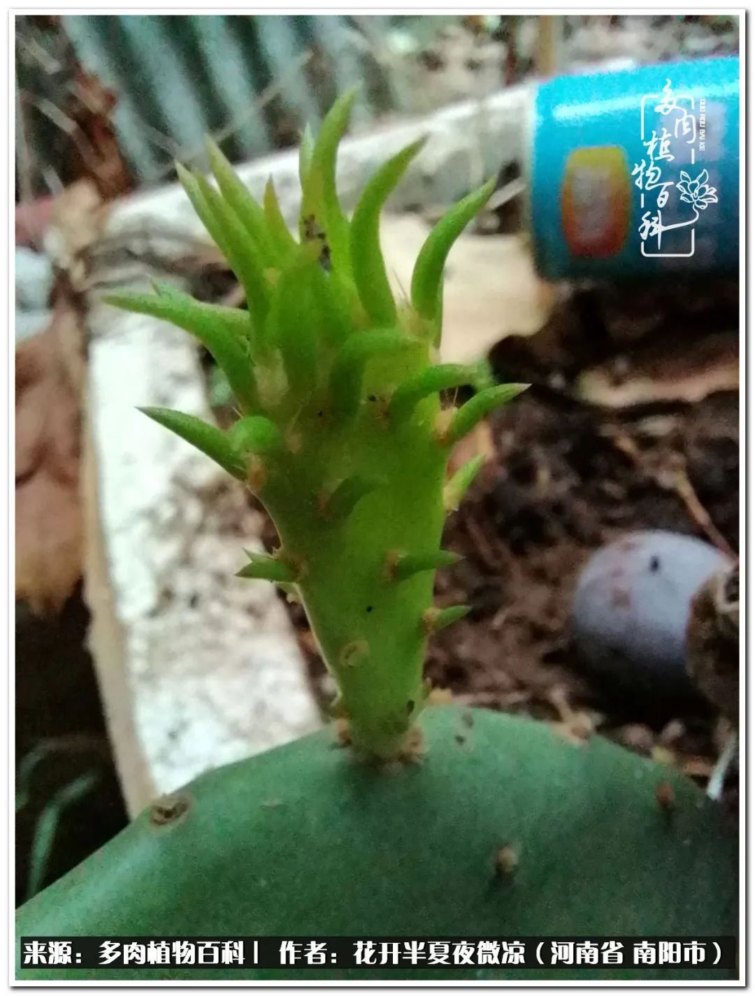 万事开头难只要坚持才有收获,万事开头难只要肯干就会有结果