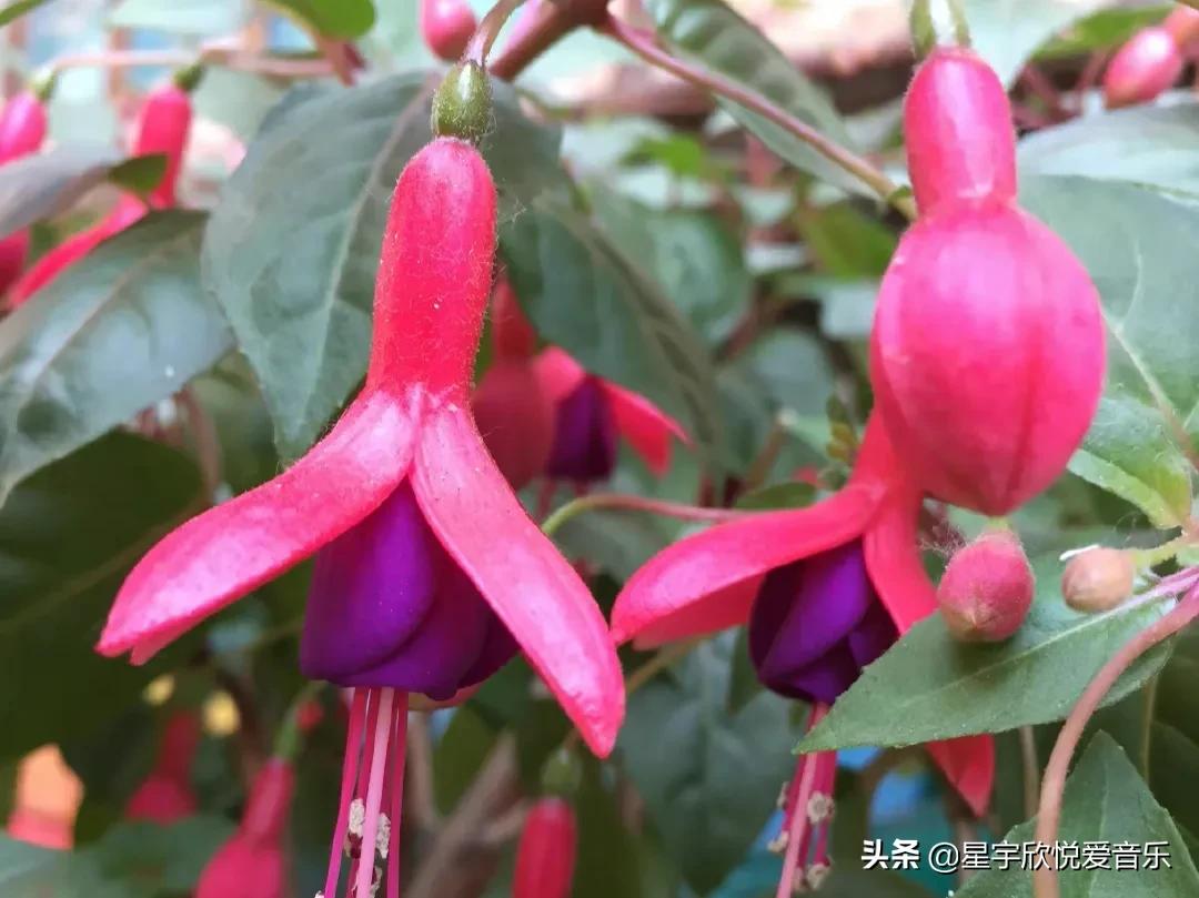 分享惊艳的图片,分享美景的图片卡点