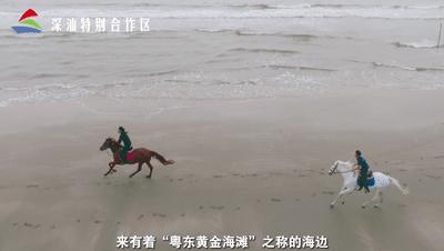 海边露营看日落地点推荐,海边露营深圳