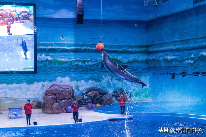 自驾游景点推荐江西赣南,赣南景点自驾游旅游攻略