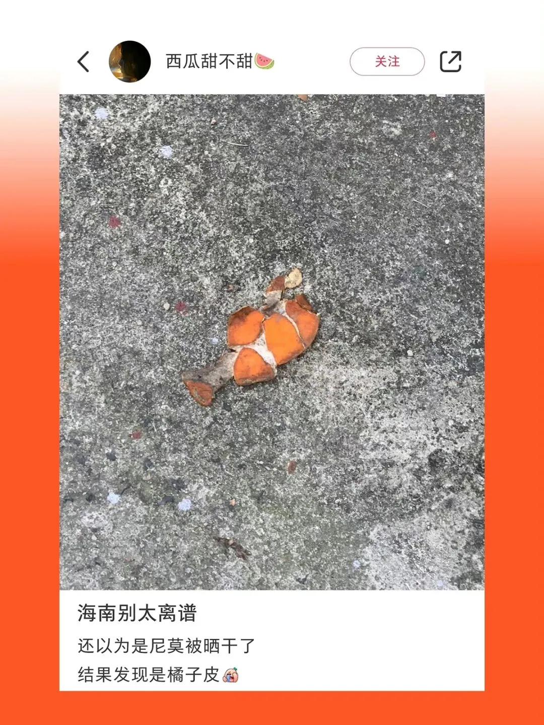 夏天热疯了搞笑图片,炎热的搞笑图片图文