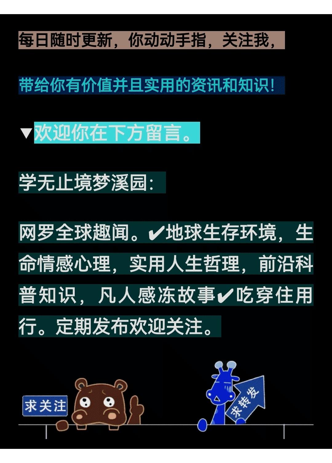 哈里王子新书备胎,哈里王子拟出回忆录