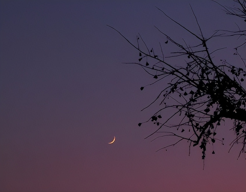 搞笑的文案幽默的文案,文案可爱又搞笑的朋友圈文案