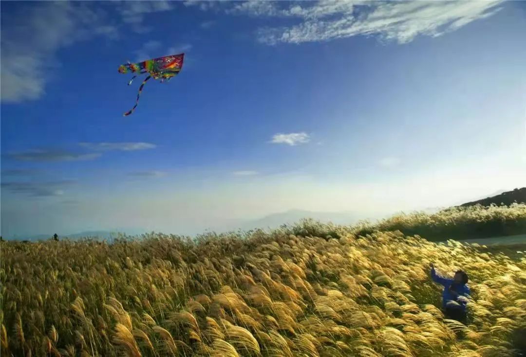 亲近春天，爬山正当时！温州这些绝美山峰快快约起！