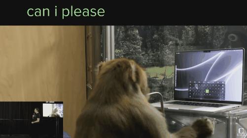 猴子看猩球崛起,猴子通过脑机接口进食