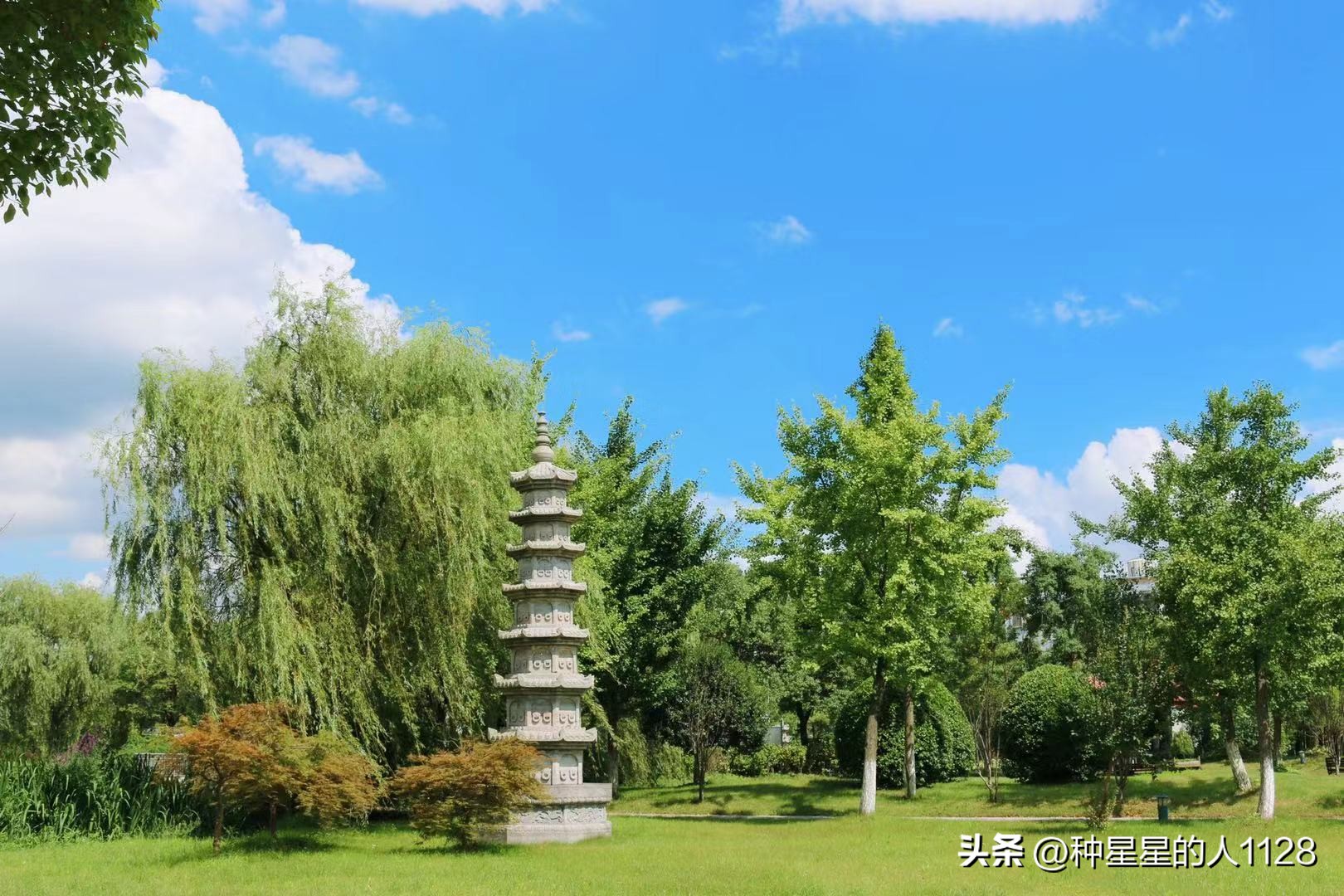 上海墓园树葬和壁葬的价格,上海松鹤墓园今天扫墓有何规定