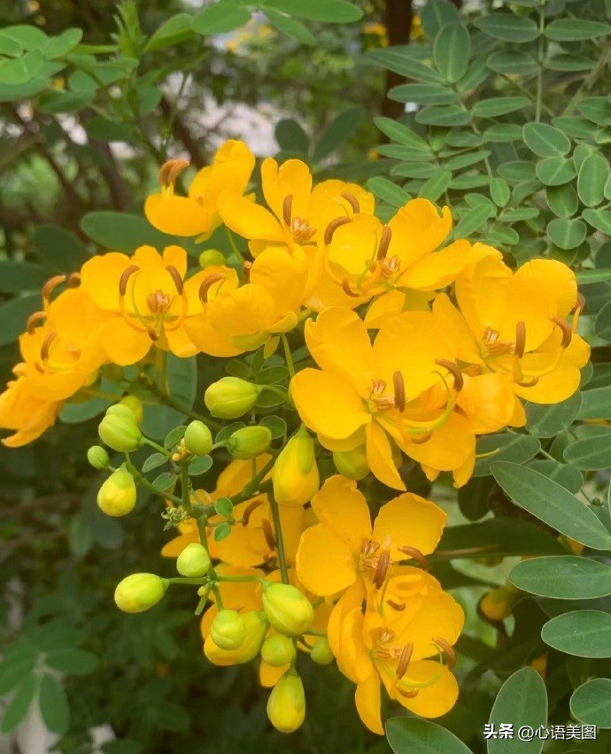 抖音热门文案爱情配图伤感,情感语录抖音配图文案