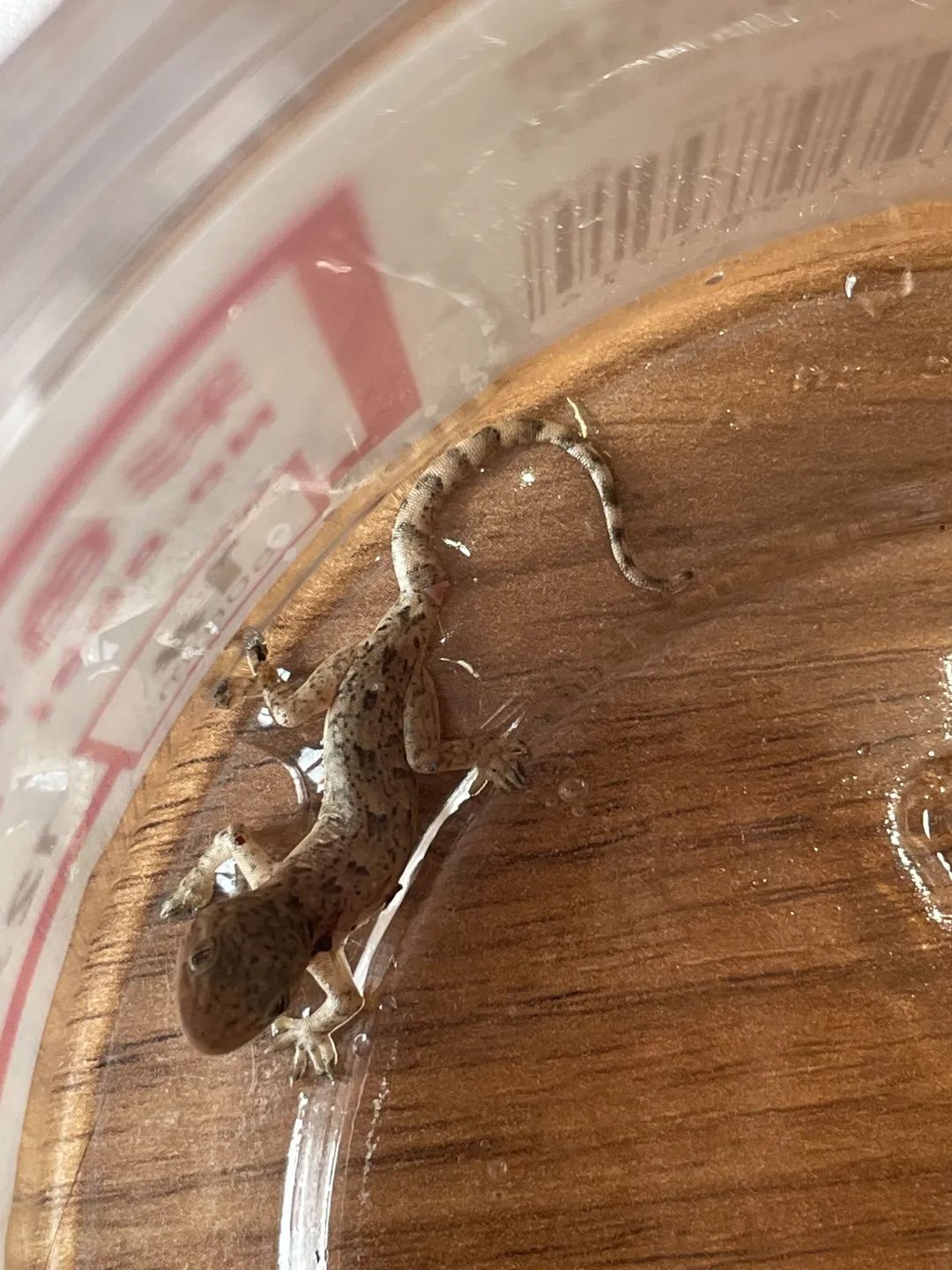 2022年这些瞬间温暖了我们,2022年的一切回顾