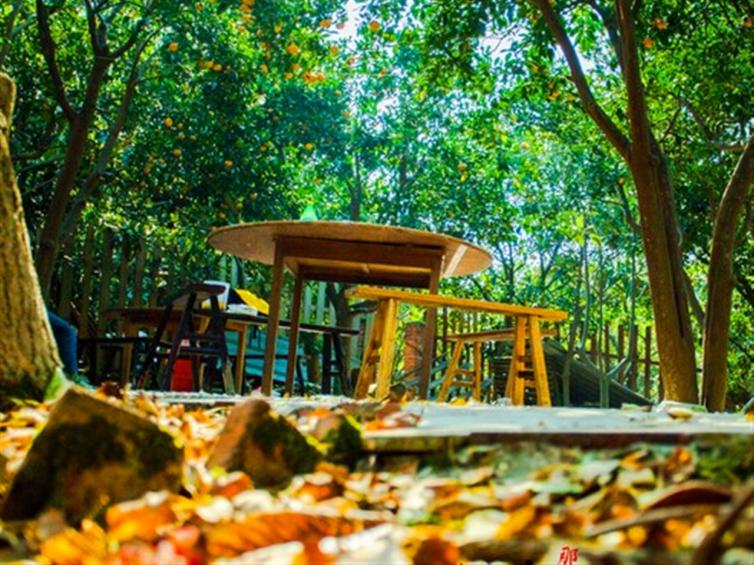 苏州旅游自驾游景点推荐,上海到苏州周末自驾游