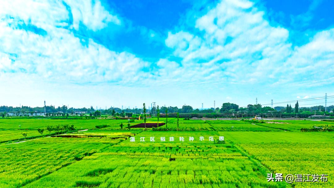 温江农业科技园区杭州推介,温江国家农业科技园区成立时间