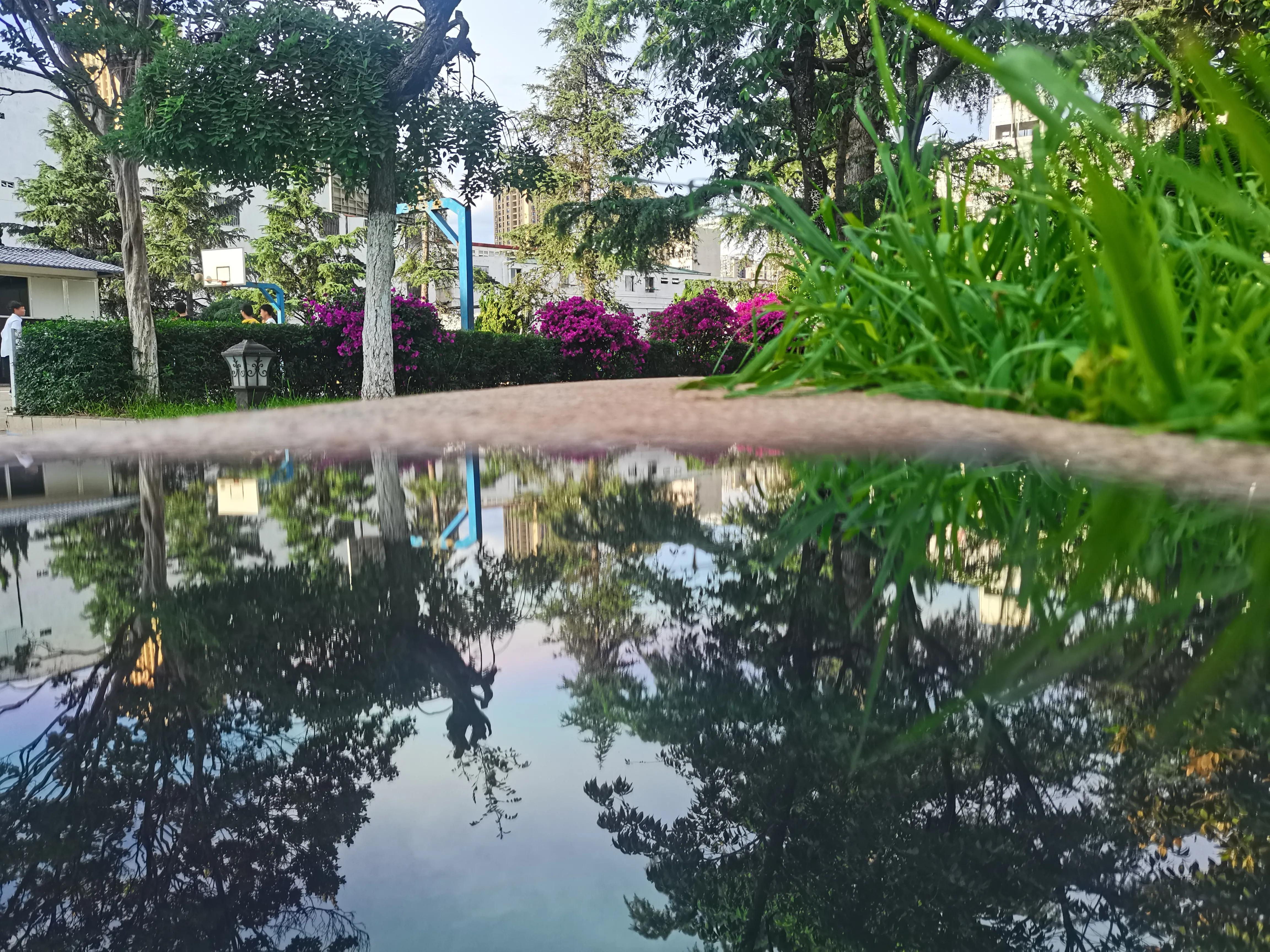 如何做学生,应该怎样做学生