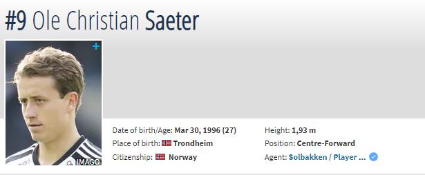 挪威超级联赛各球队介绍,挪威超级联赛球队实力推荐