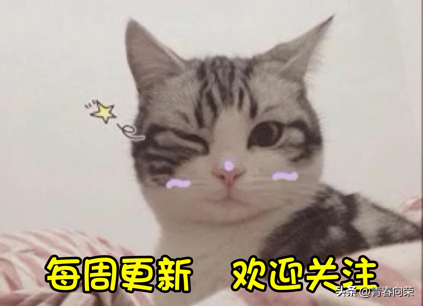 switch为什么拒绝翻新,怎么检查switch是否翻新