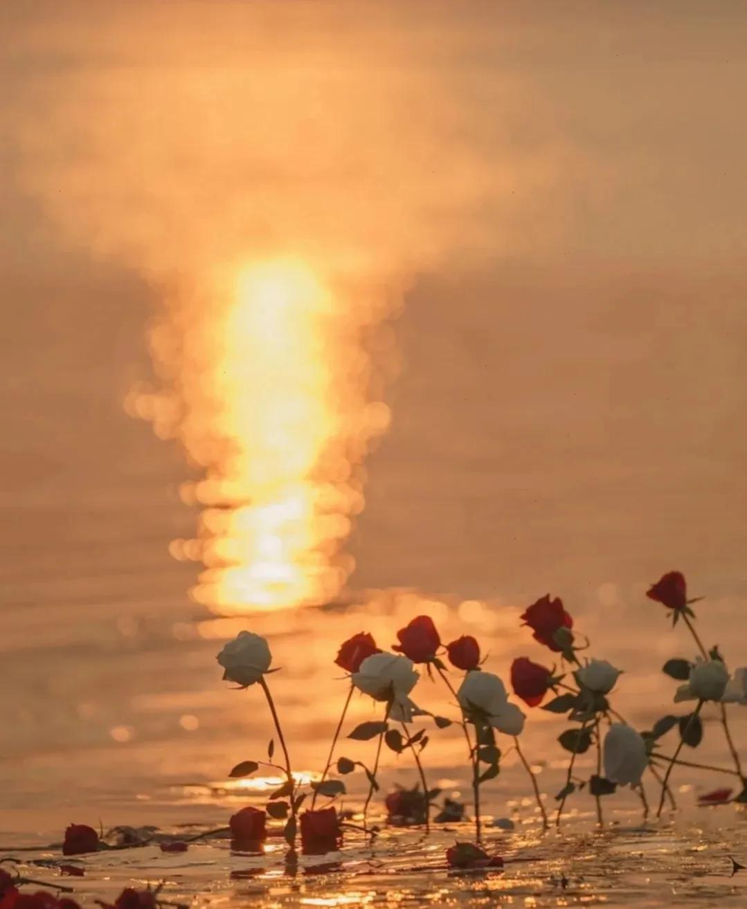 土木人配拥有爱情吗,土木人真的不配有女朋友吗