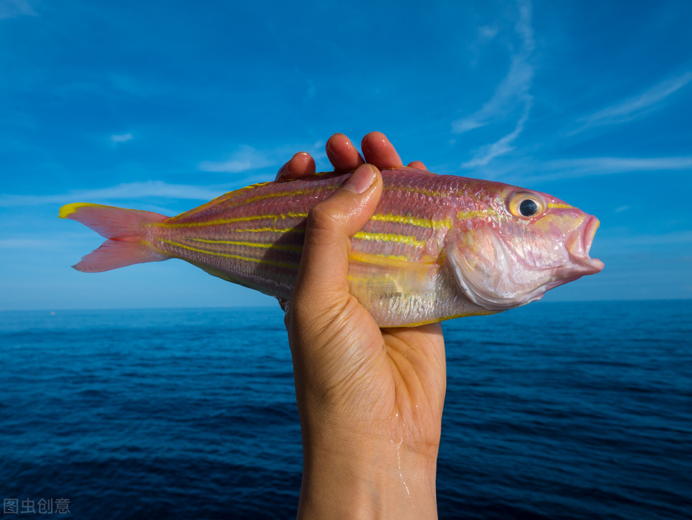 「每日一邮」1992-4《近海养殖