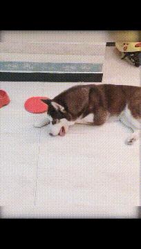 怎么安慰平胸的女孩,女朋友是个平胸怎么办