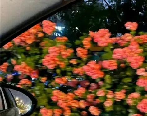 每天除了玩手机不知道干什么,一个人除了玩手机还能干啥