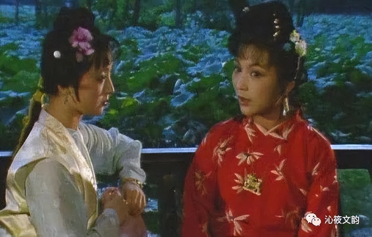 薛宝钗和林黛玉的形象,林黛玉形象生成的过程