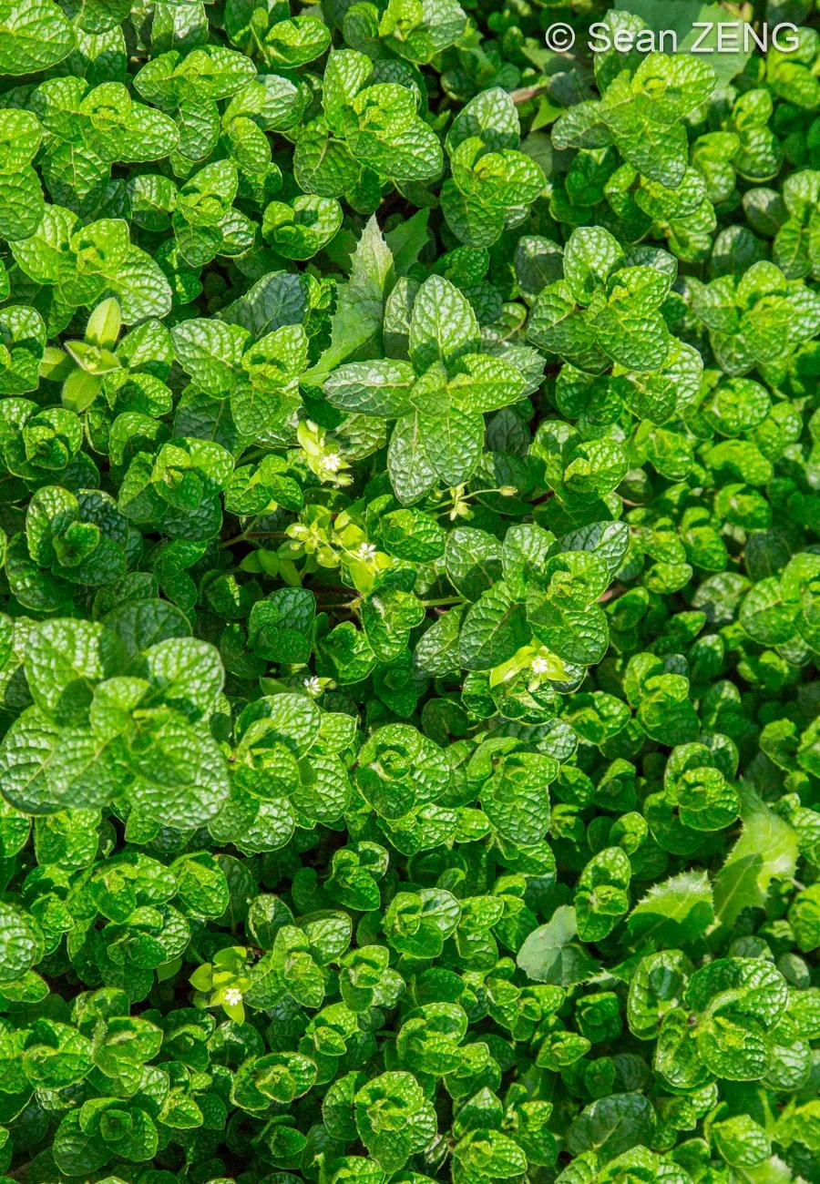 不负自负,光阴不负聪明人