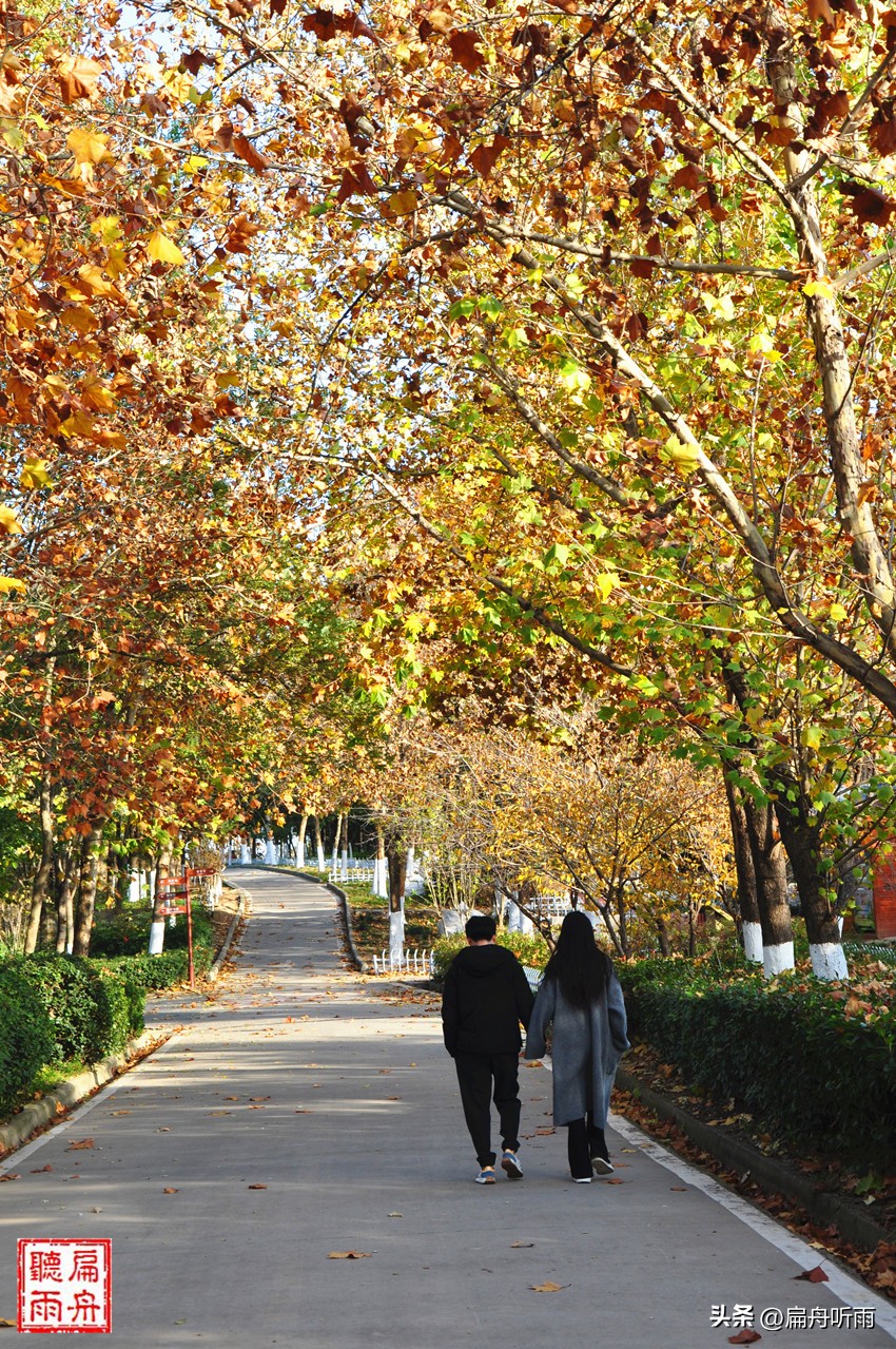 7月郑州凉快遛娃公园排行榜,郑州龙子湖避暑遛娃的地方
