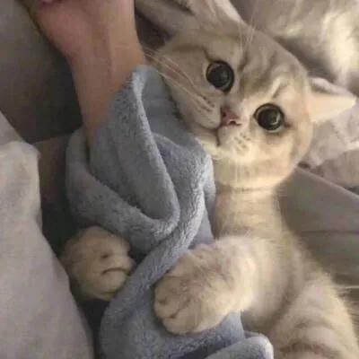 唯美句子个性签名爱情,经典签名唯美走心的句子