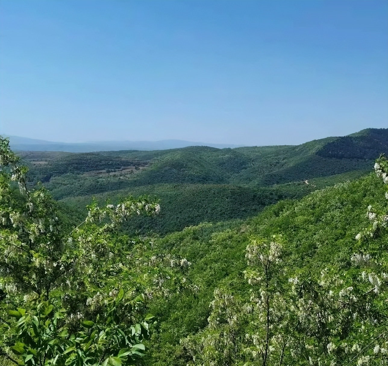 济南3-4月份赏花适合去哪里旅游,五一济南哪里好玩