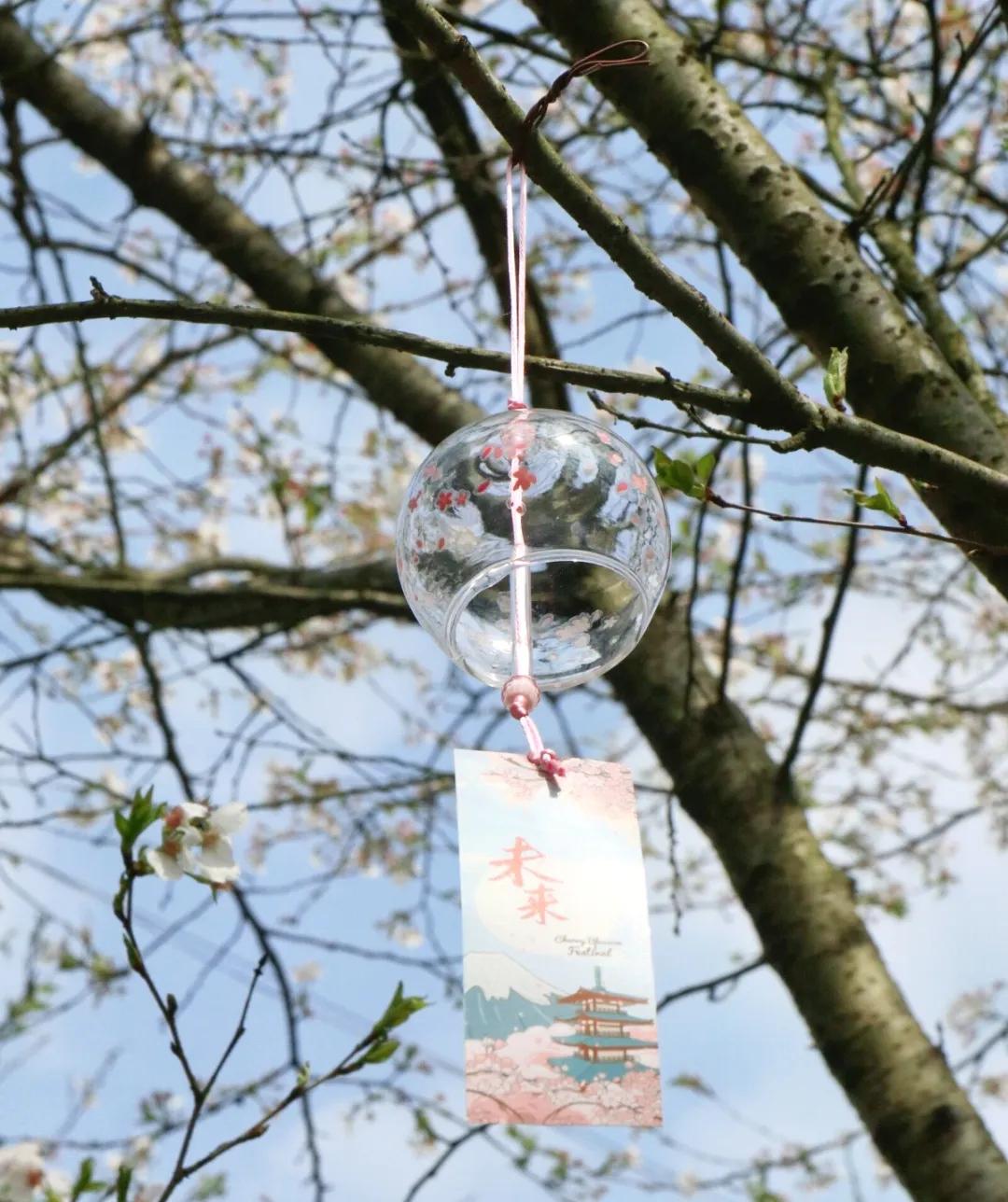 长沙浪漫樱花谷,长沙浔龙河樱花谷花开了吗